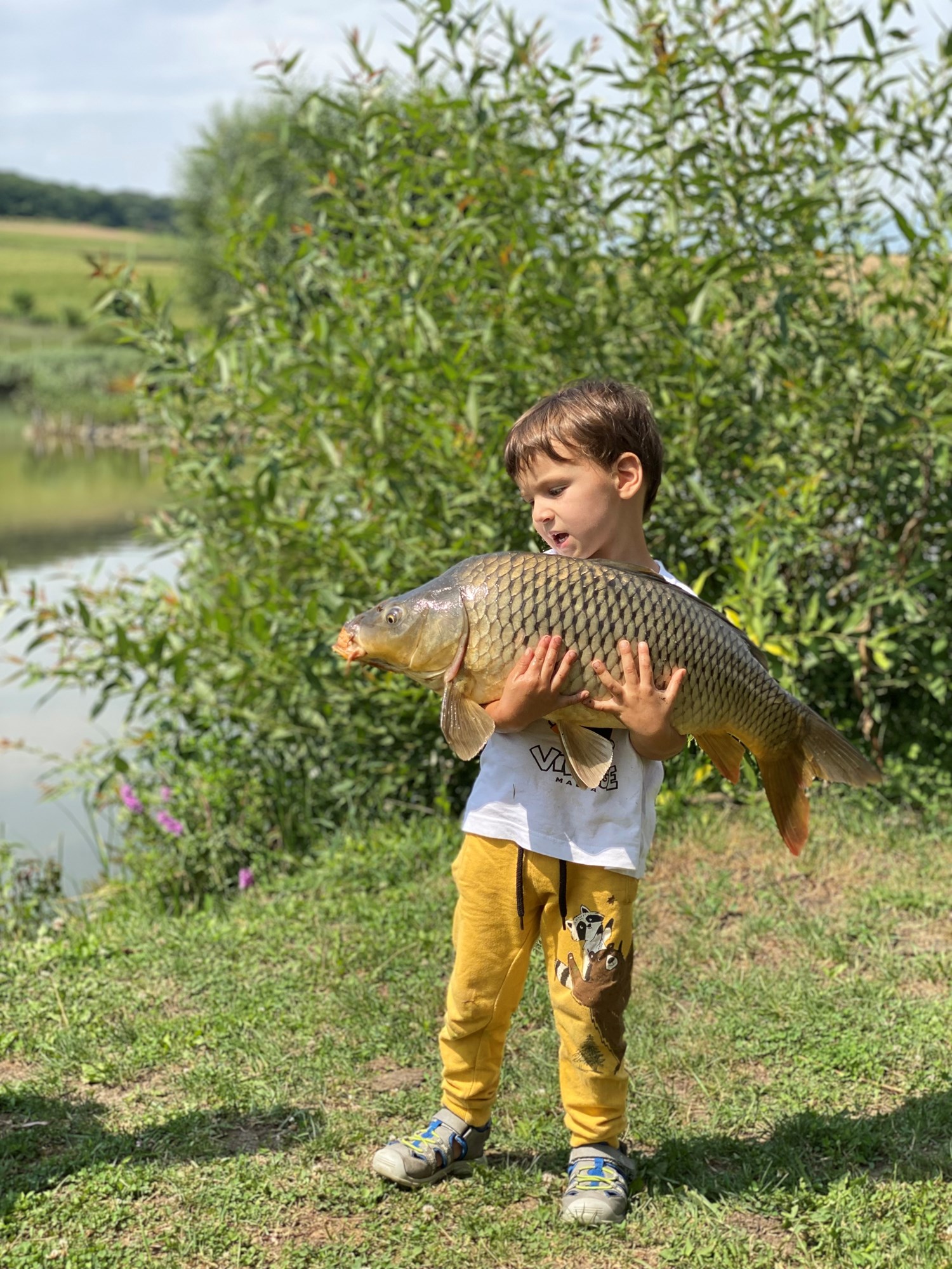 Zaganu 1 - 8 aug. - 627B0ABBF75B4D0EB416B39A77300384.jpg